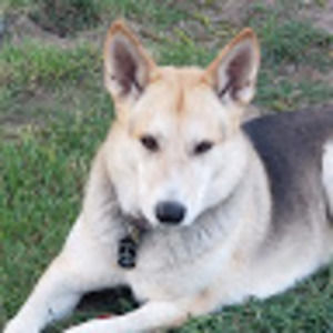 Meet your Posher, Susan